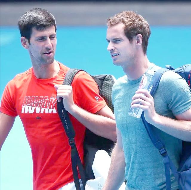 戴维斯杯险胜美网，穆雷刷新纪录的简单介绍